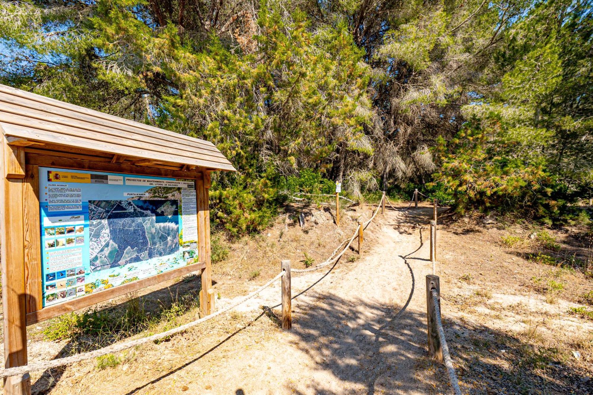 Rosella Affiliated By Intelier Hotel Sa Coma (Mallorca)